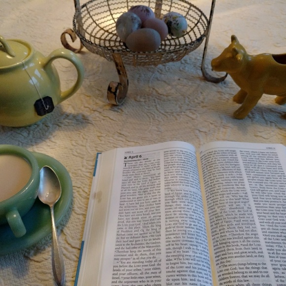 Meet your Posher, Robin - Picture 6 of 6